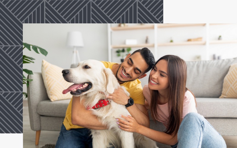 a couple holding a dog